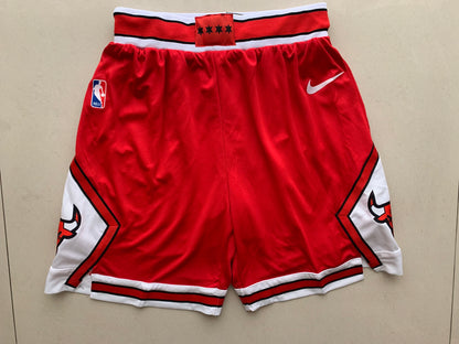 Short Chicago Bulls Icon Edition