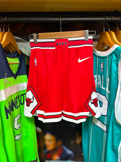 Short Chicago Bulls Icon Edition