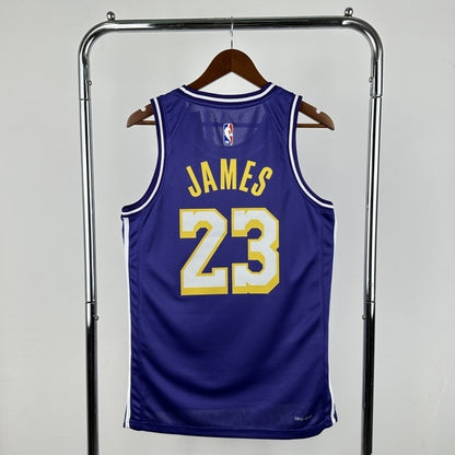Camiseta Los Angeles Lakers LeBron James N.º 23 – Icon Edition